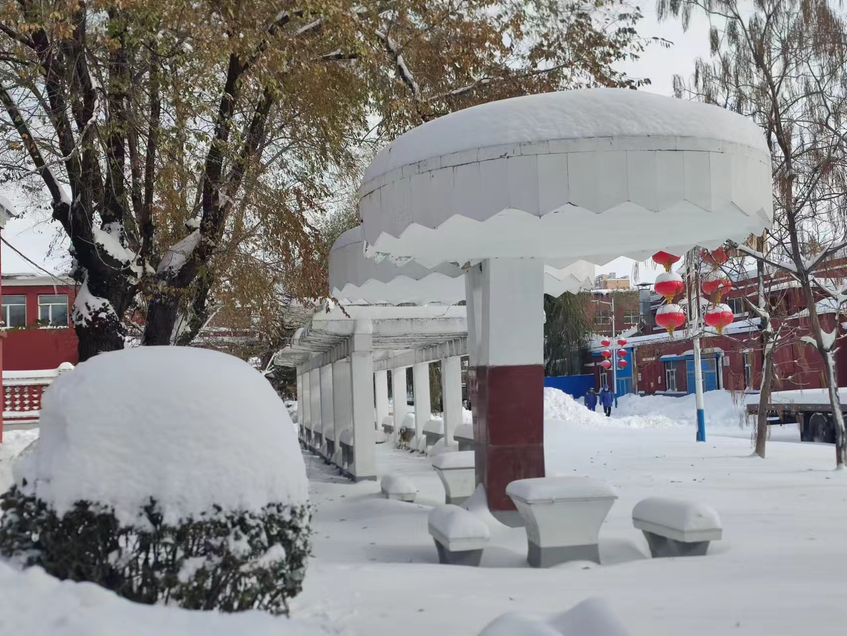 F4044B552B7D4C832E453FEBD74_600E6D6B_98313.jpg?e=